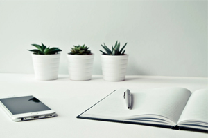 企業網站建設要遵循哪些原則呢？網站建設哪家專業?